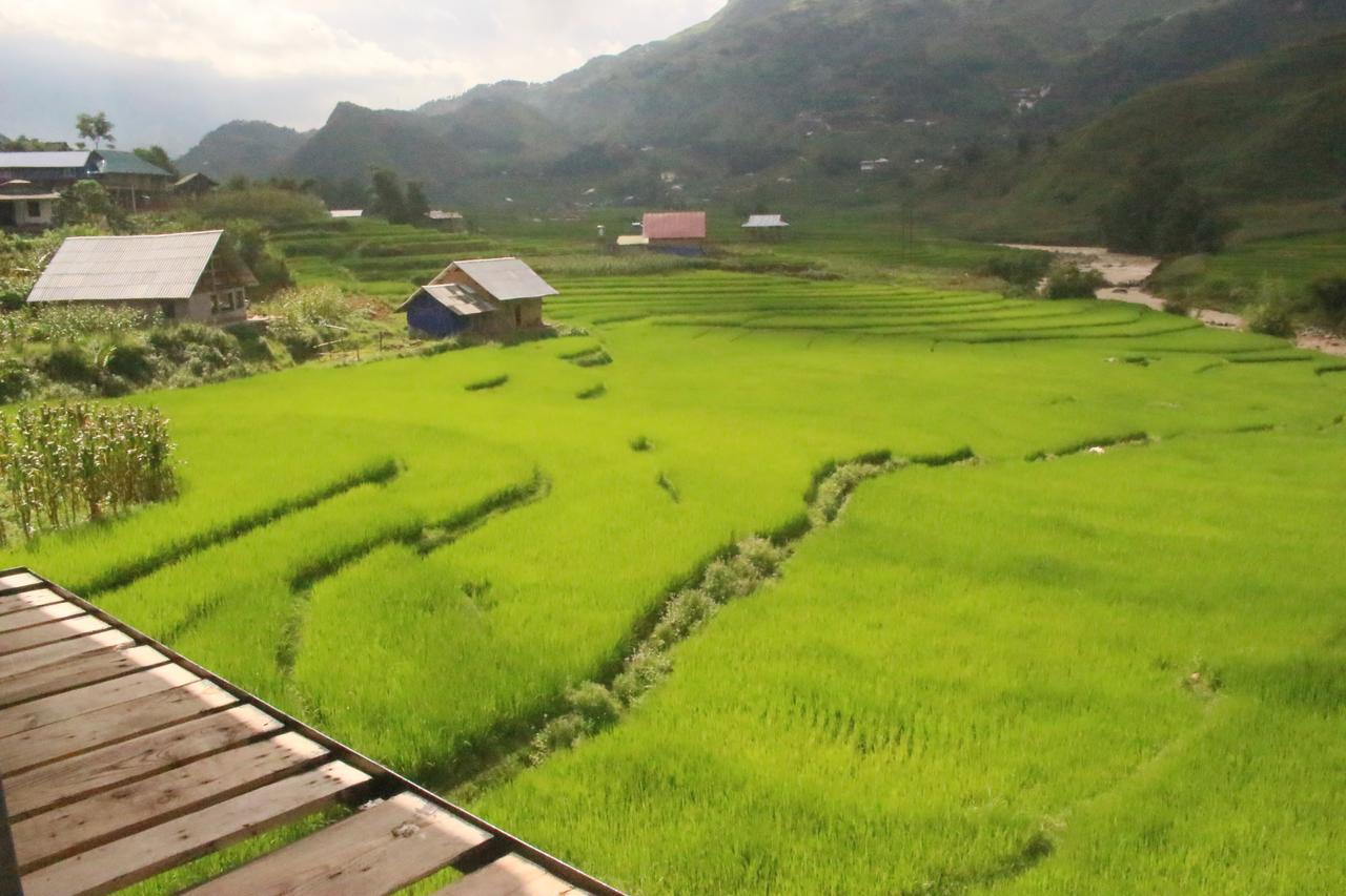 Sapa Terrace View Homestay Eksteriør billede